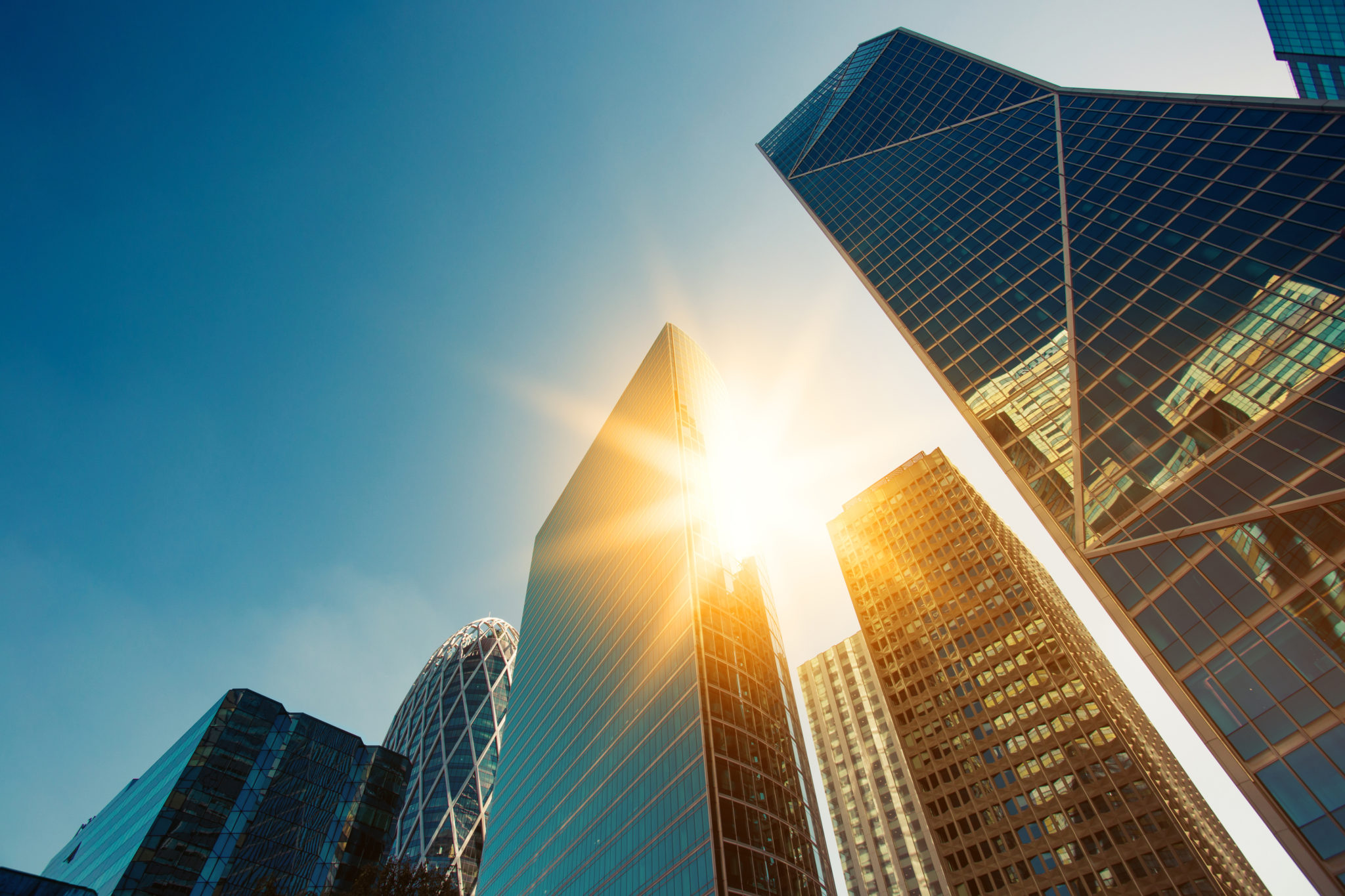 Q3 Tech Job Report: Traditional Tech Hubs Begin to Stabilize